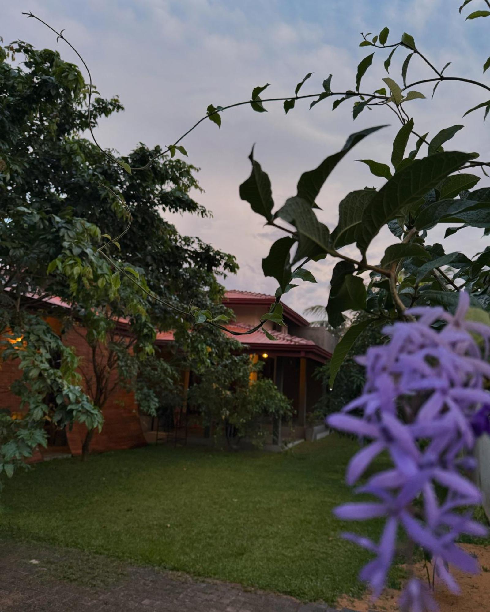Negombo 146 Homestay Exterior photo